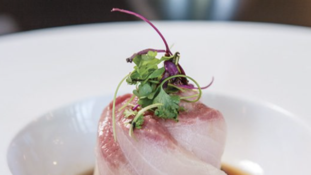 Mint-Sushi-2.png