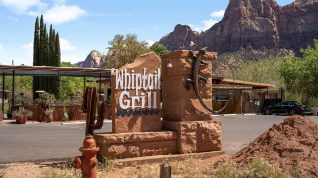 Whiptail Grill