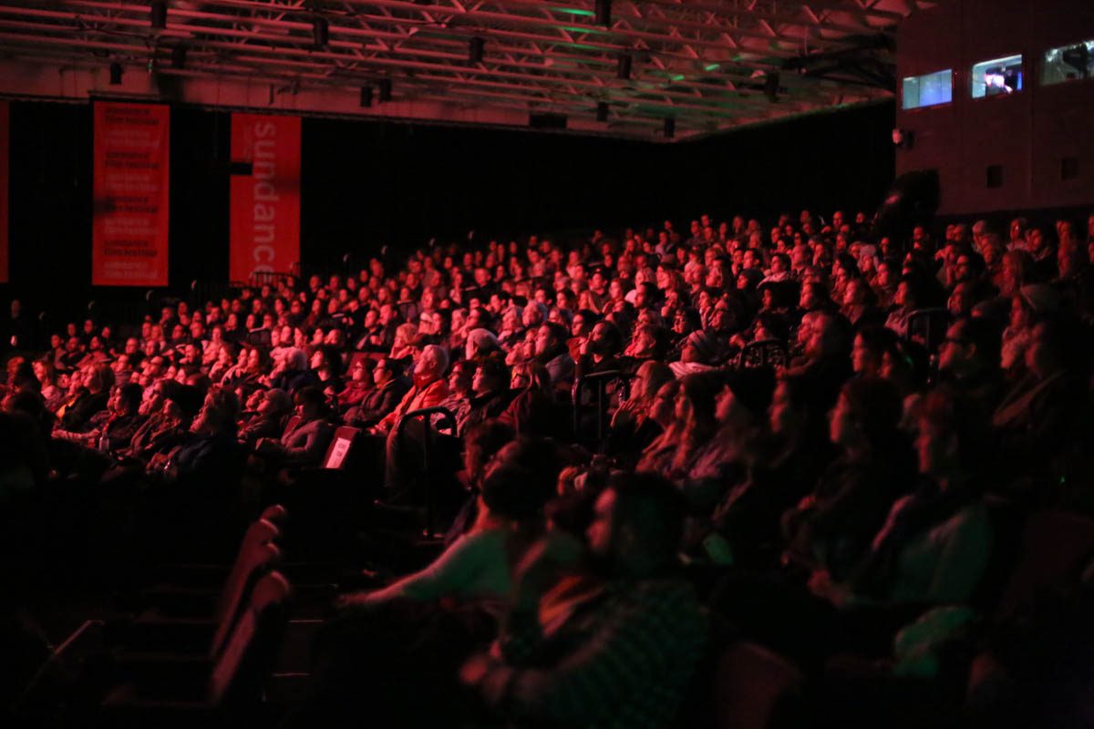 32479171016_31fef46b2e_o