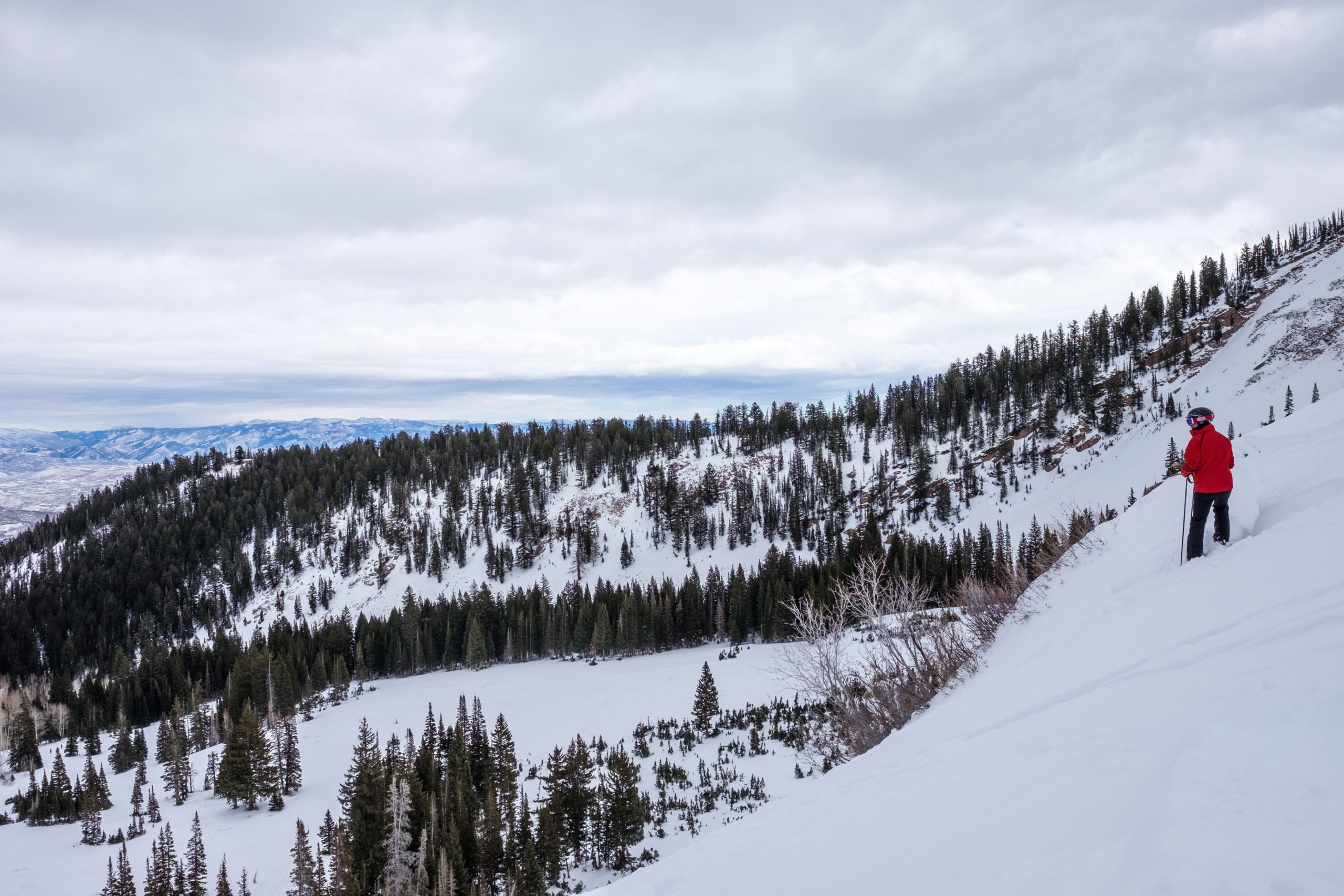 AdobeStock_213158760-scaled
