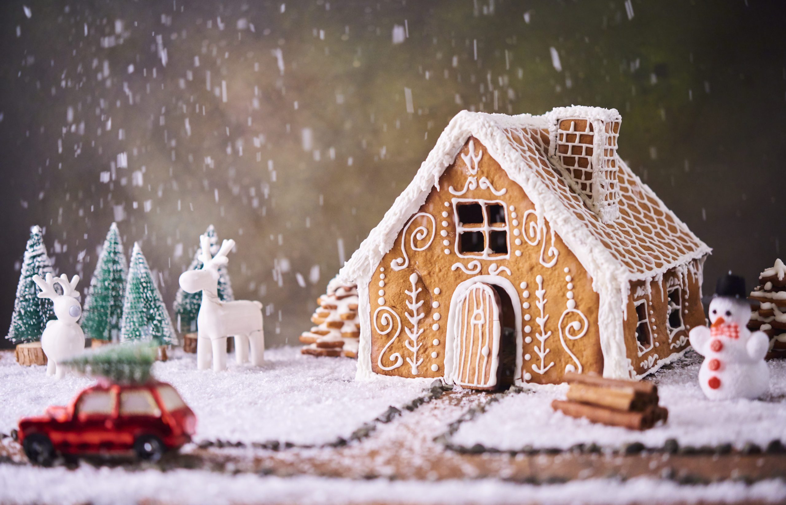 AdobeStock_232285503-scaled