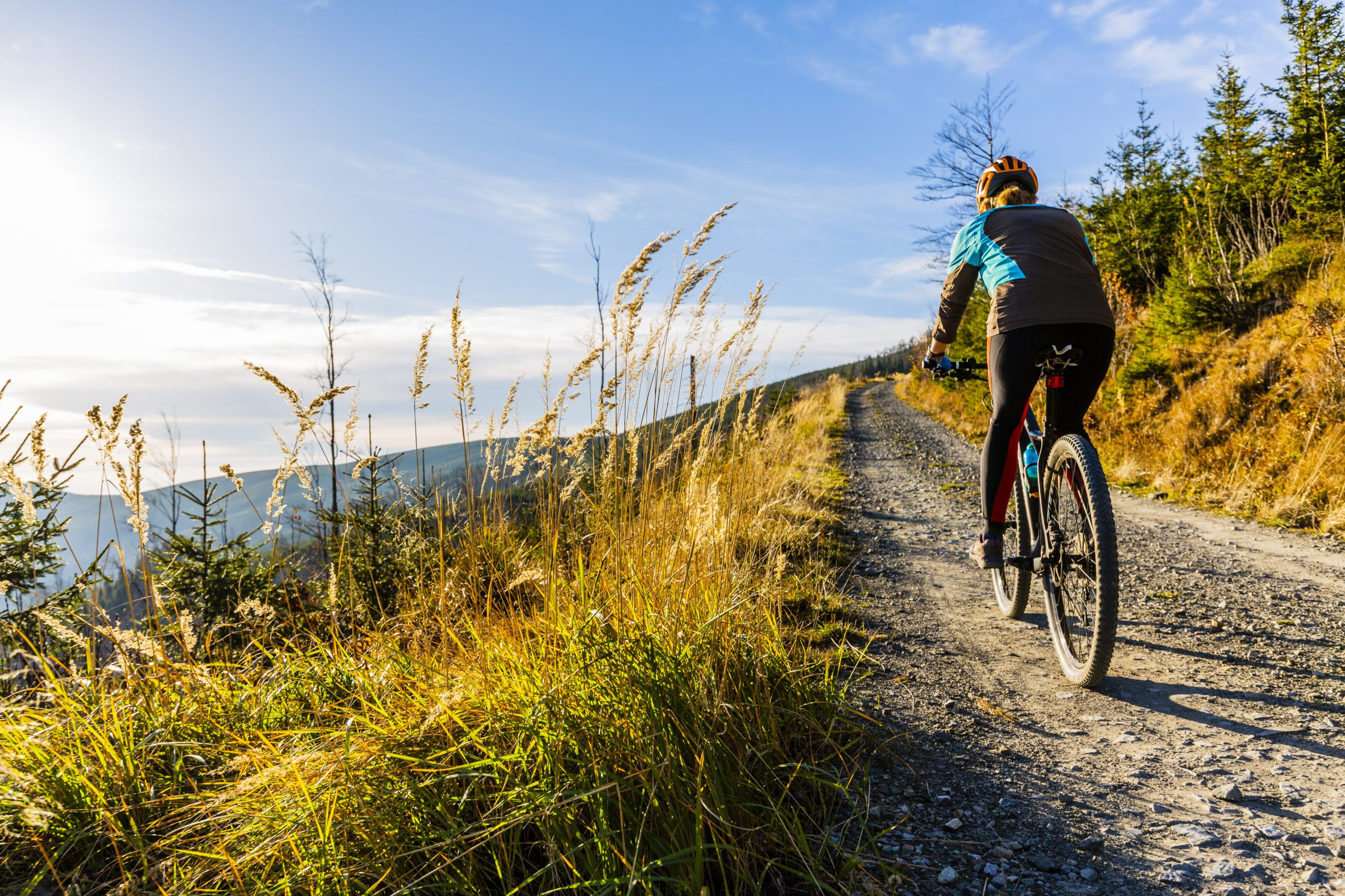 AdobeStock_282178195-scaled