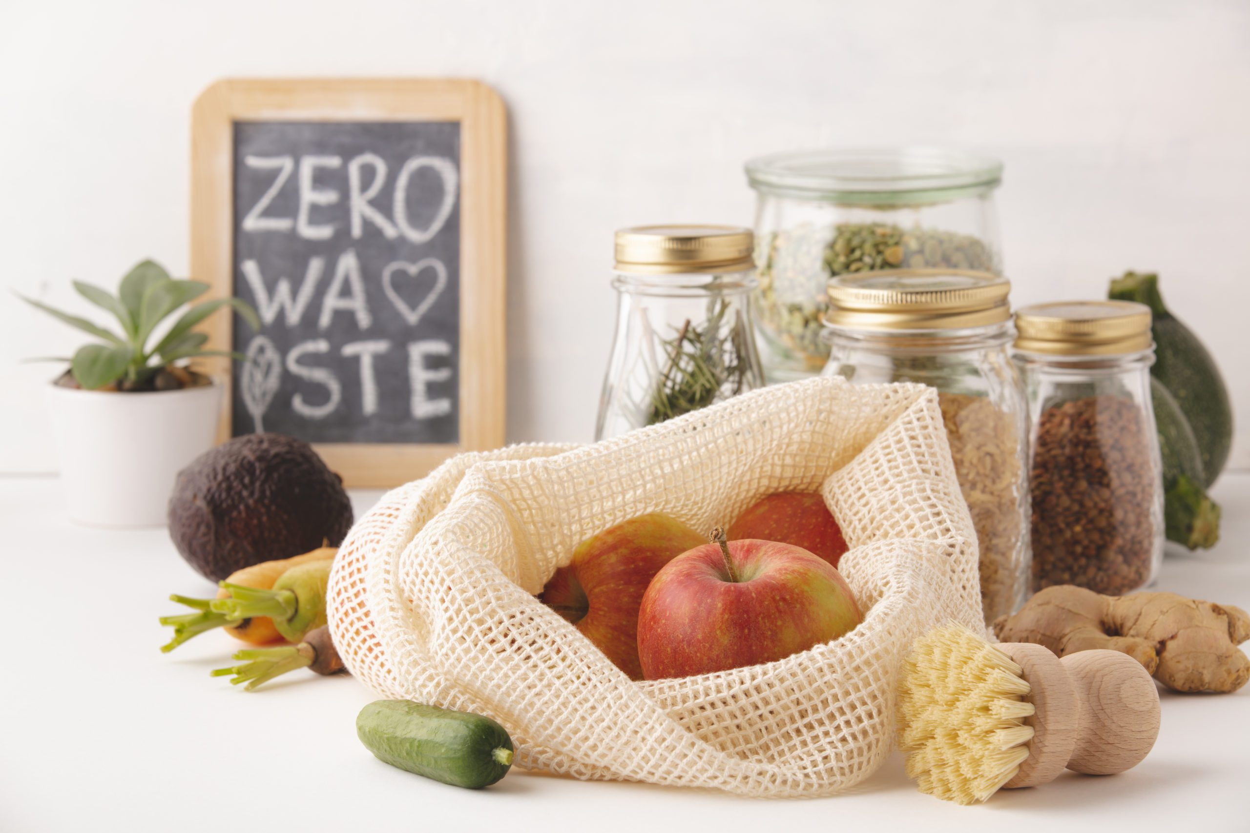 AdobeStock_298925623-scaled