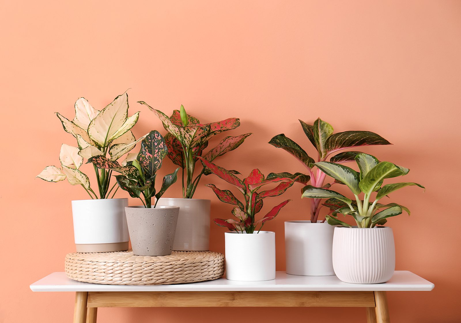 AdobeStock_399400049