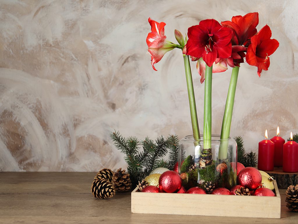 AdobeStock_425529159