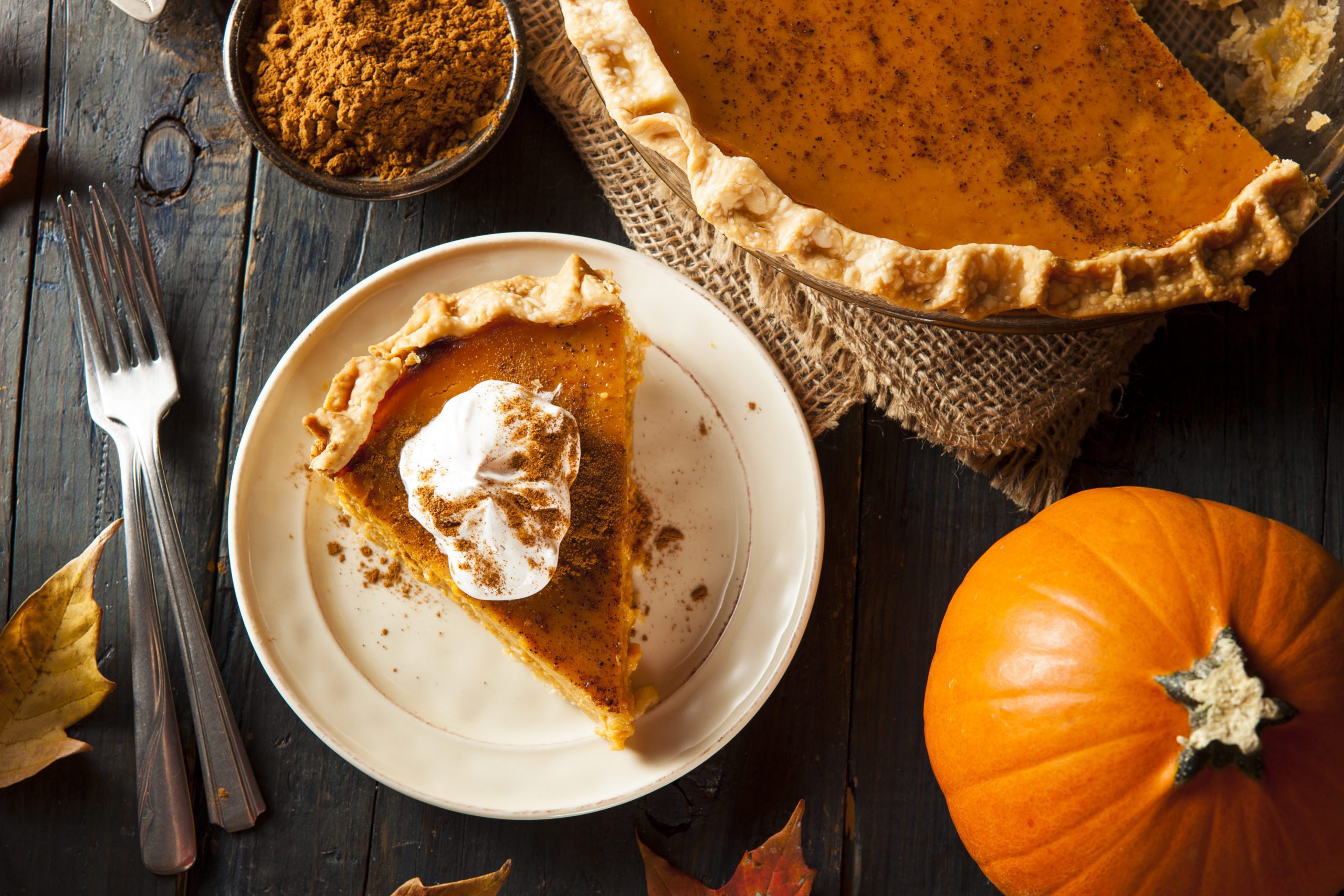 AdobeStock_70587971-scaled