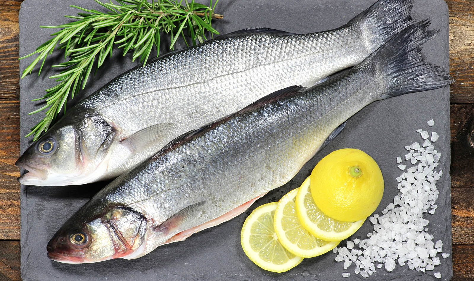 AdobeStock_88009049fish