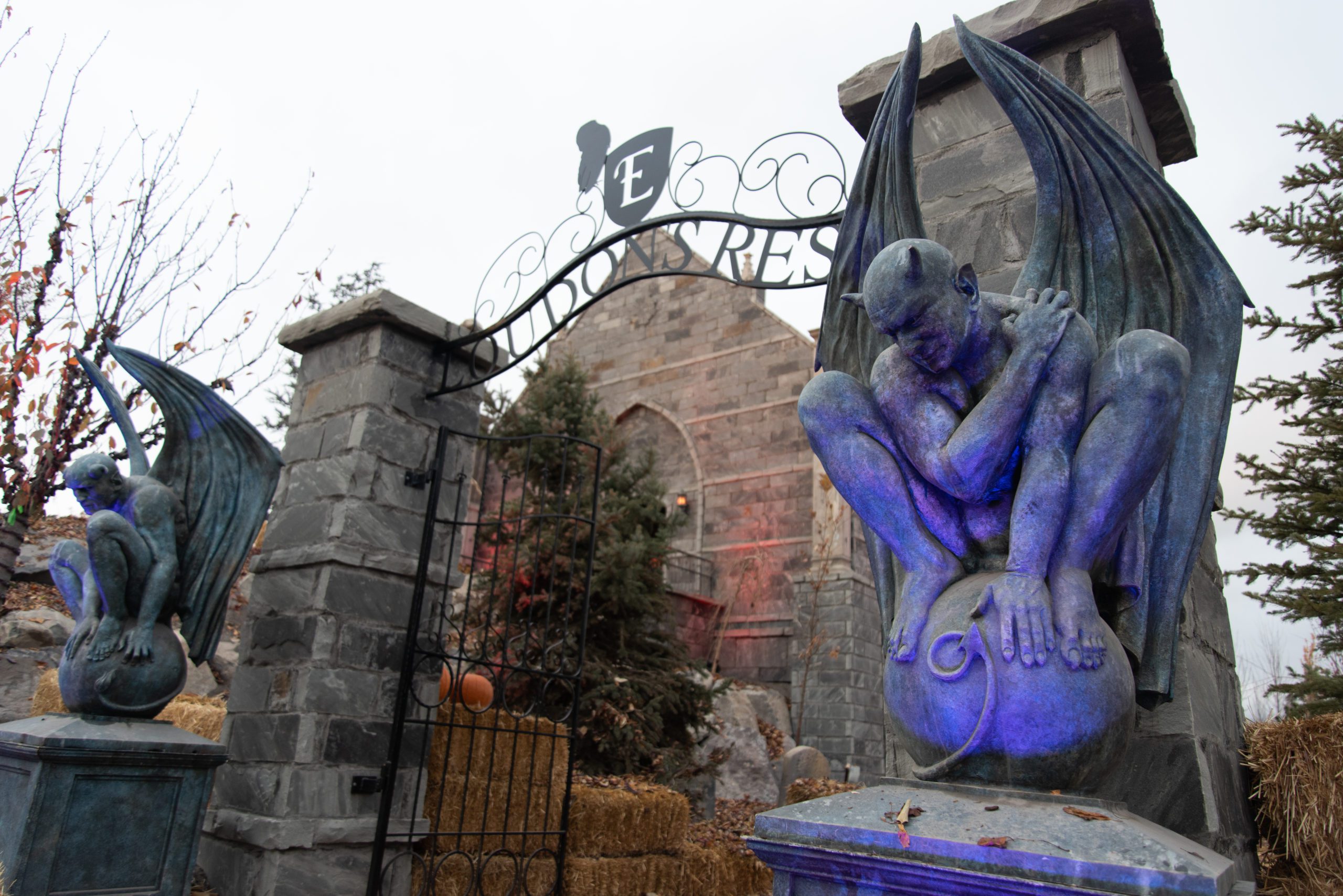 Copy-of-blooloop1-1-scaled