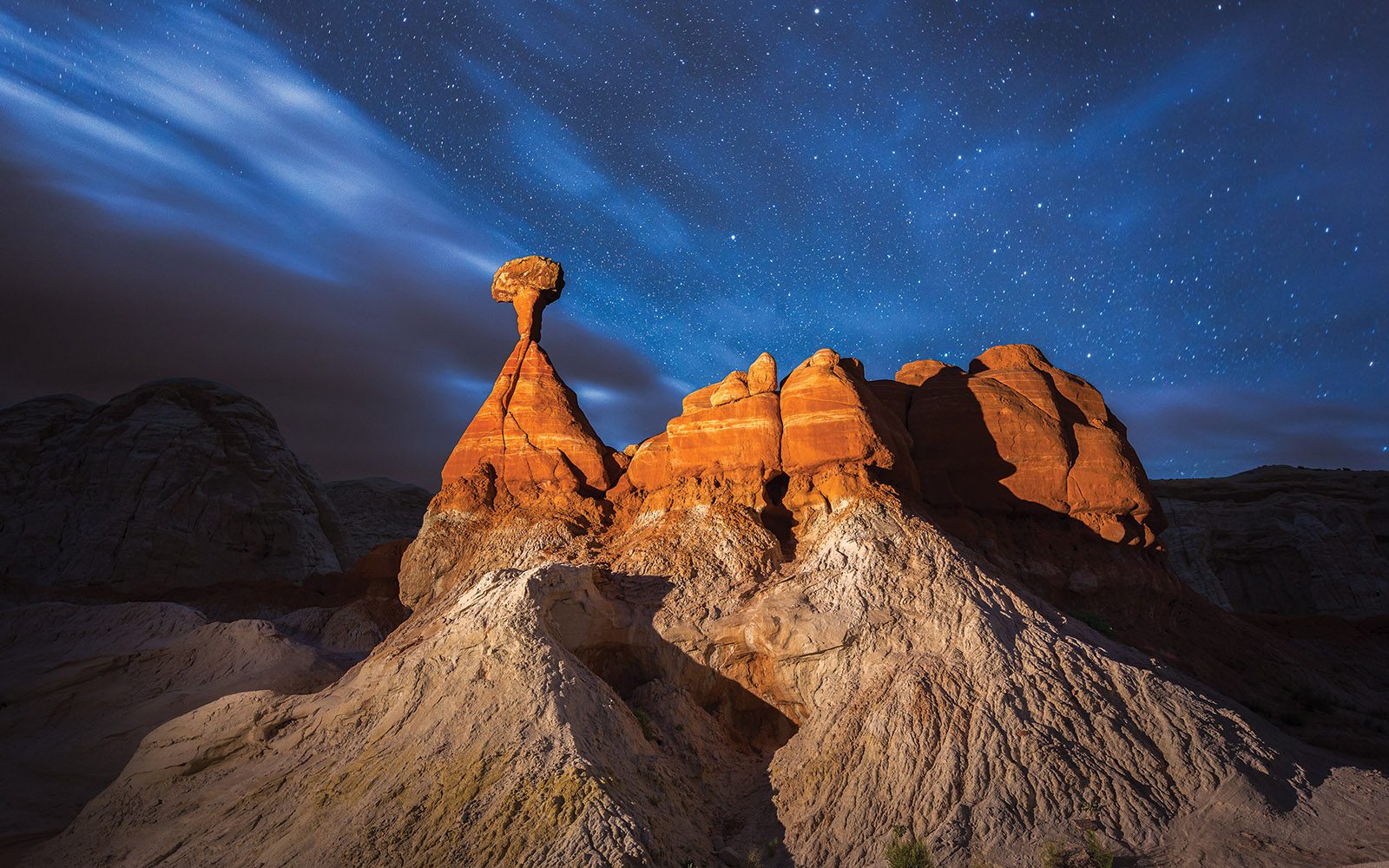 Escalante-DS-Toadstools-2-
