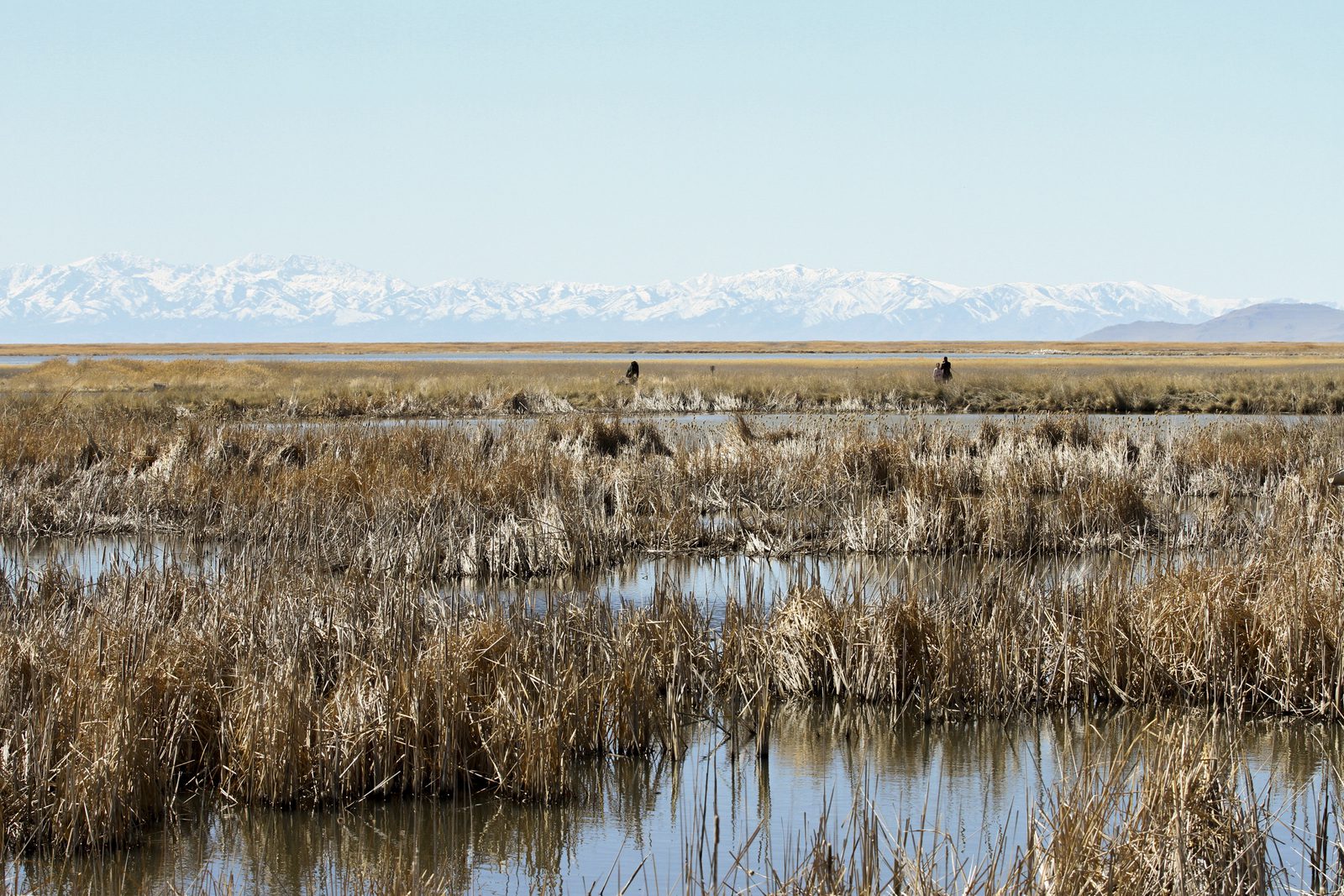 Farmington-Bay_RSerago_1260_a_Medium