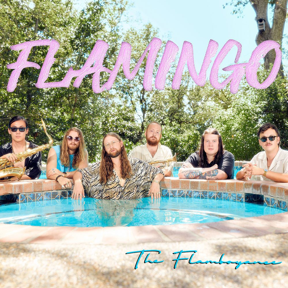 Flamingo