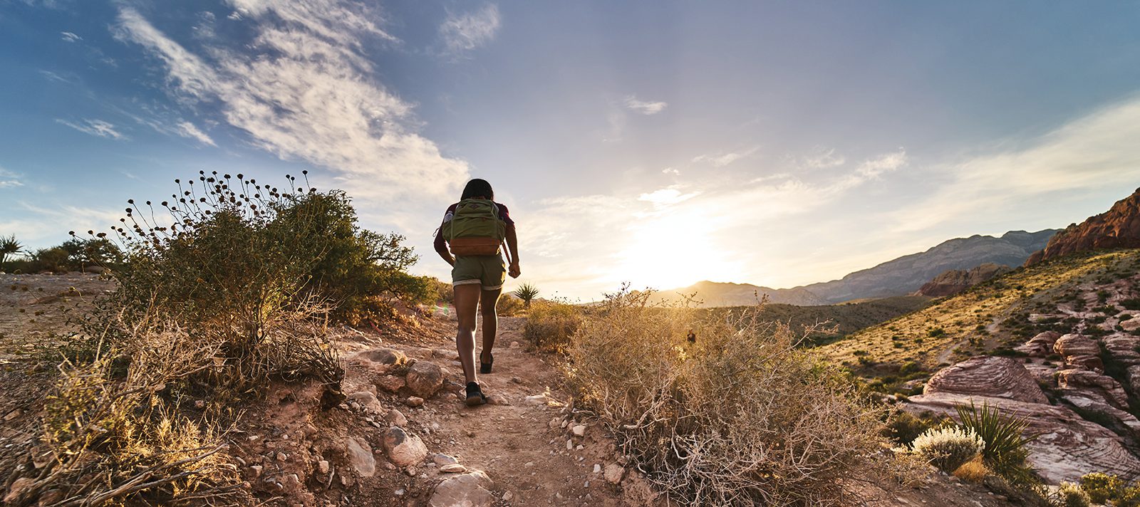 Hiker_315281808