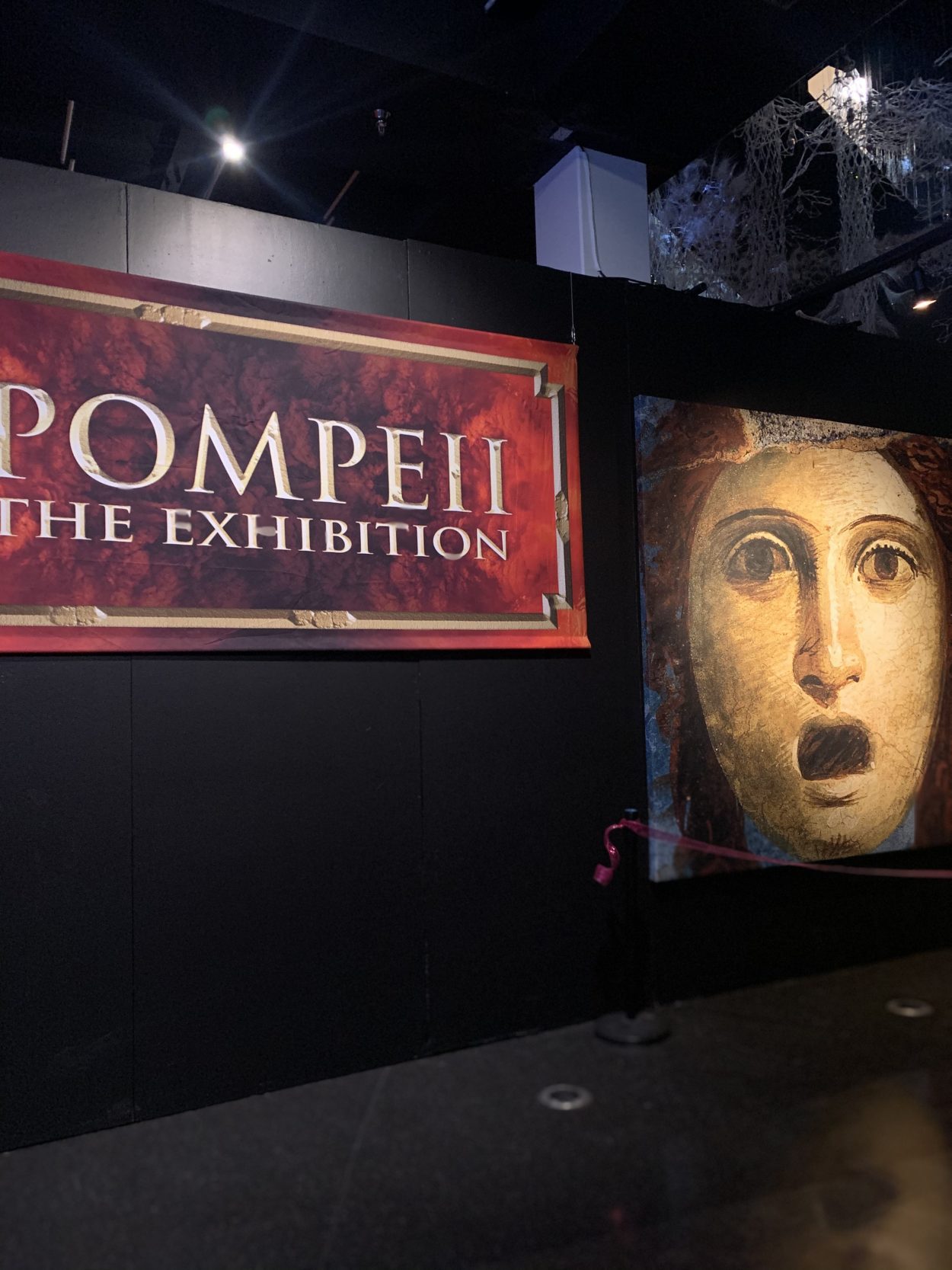 IMG_0700-2-e1574458717240