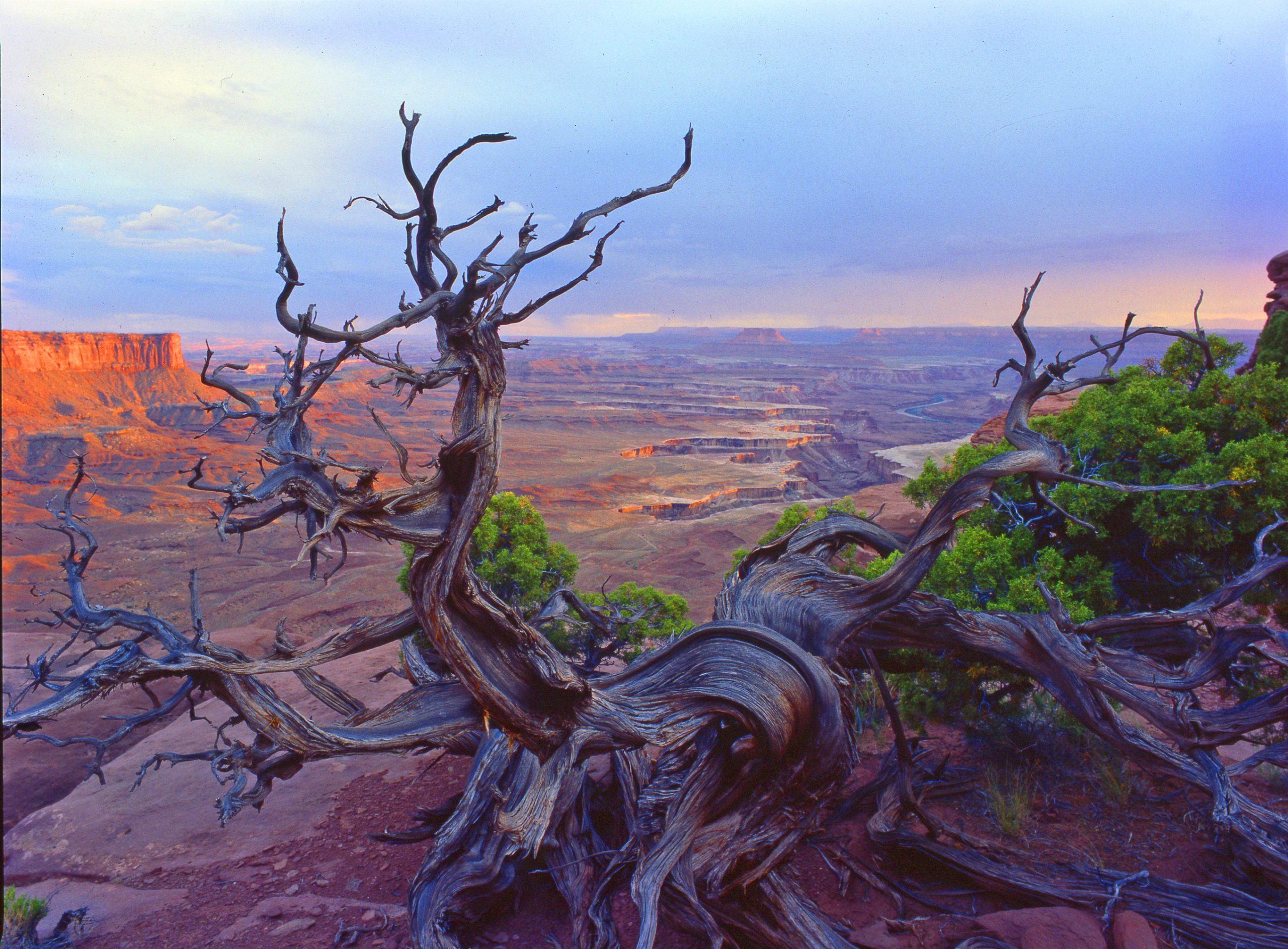 Islands-in-the-Sky-overlook-Canyonlands-National-Park_Large-scaled