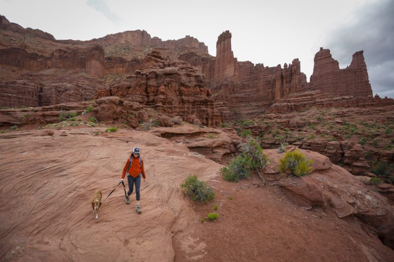 Moab-Dog-UOT-e1555513794831