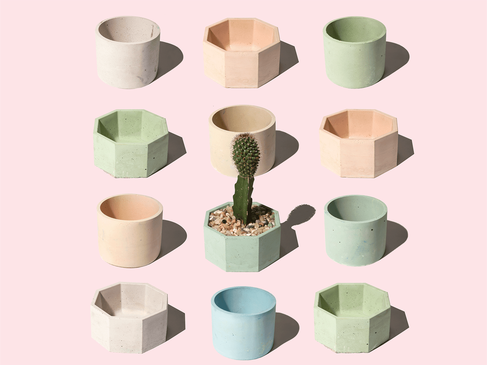 MoodyCactusFeatured