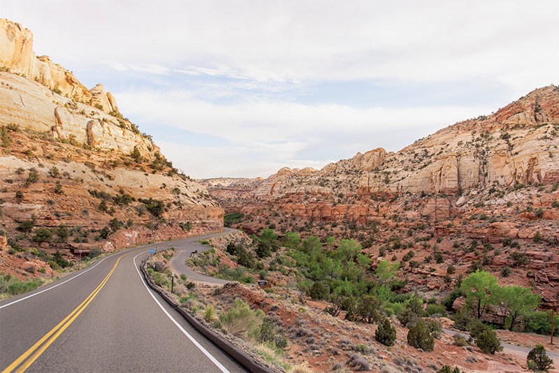 Opener_Grand-Staircase-Escalante-shot-by-The-Nomadic-People-12