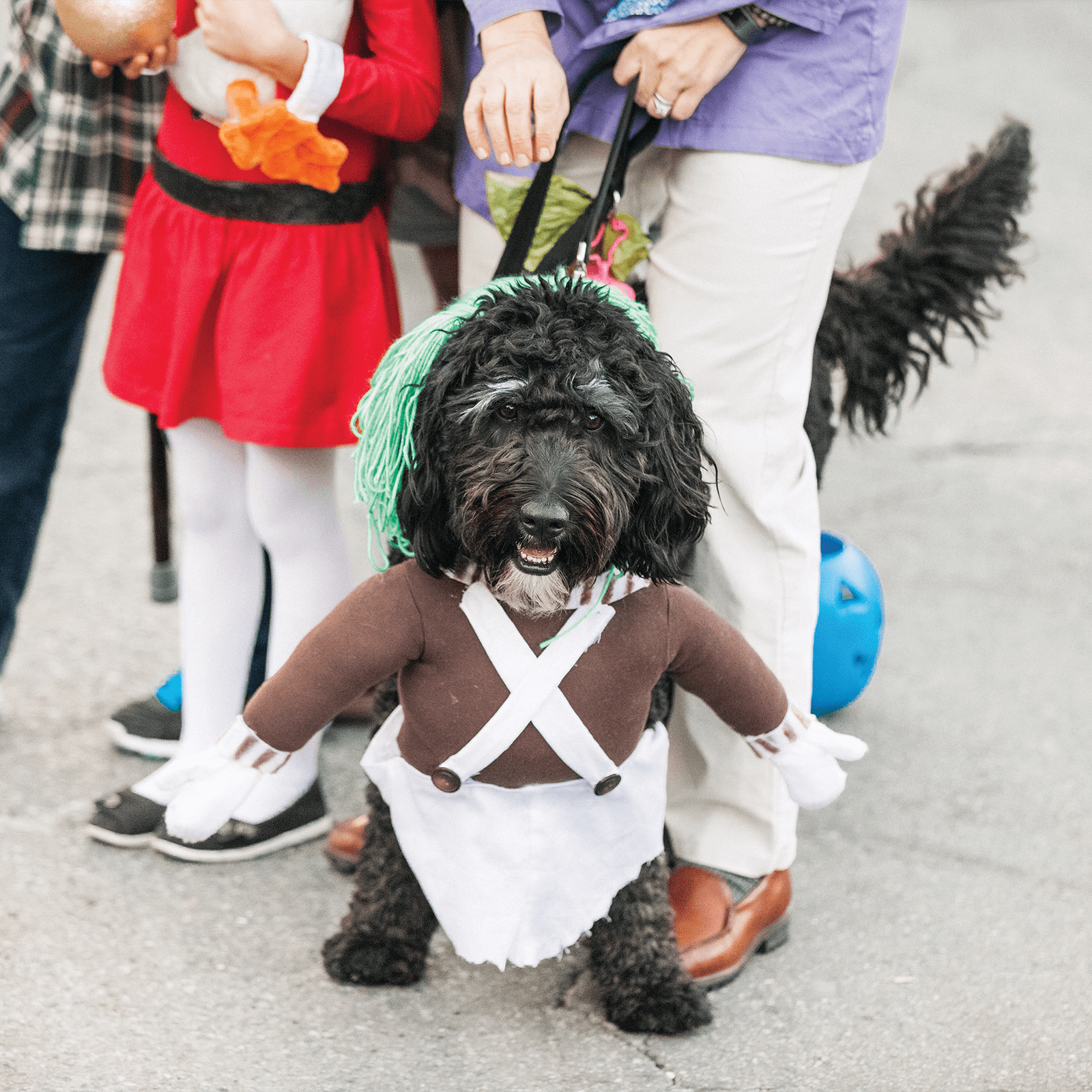 PC-Halloween-Dog-Parade_PC-Visit-Park-City