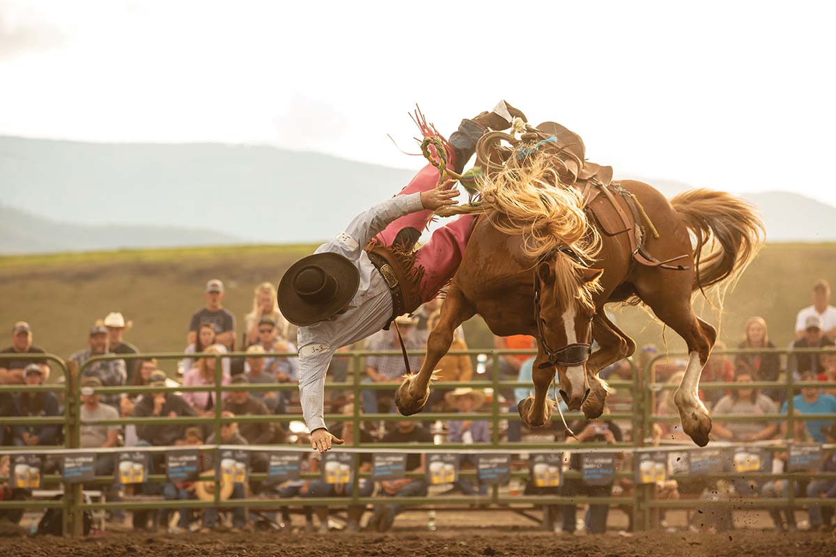 Rodeo_276253374copy