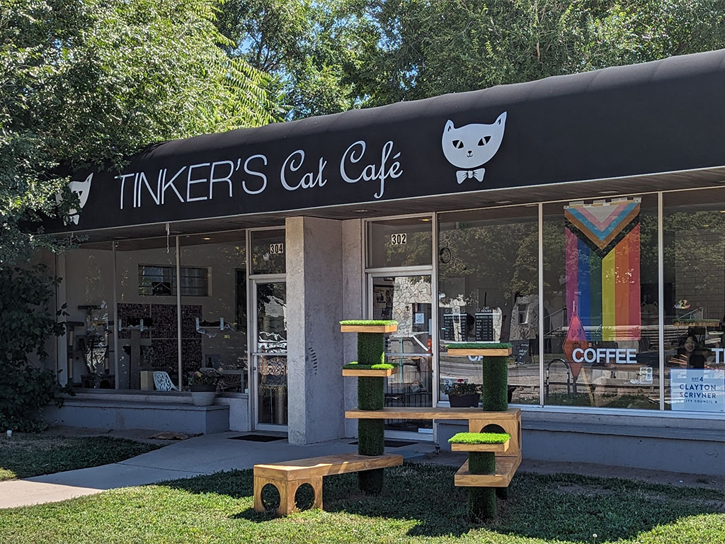 Salt-Lake-Magazine-Coffee-Shops-Giving-Back-Greg-Brinkman-Tinkers-Cat-Cafe