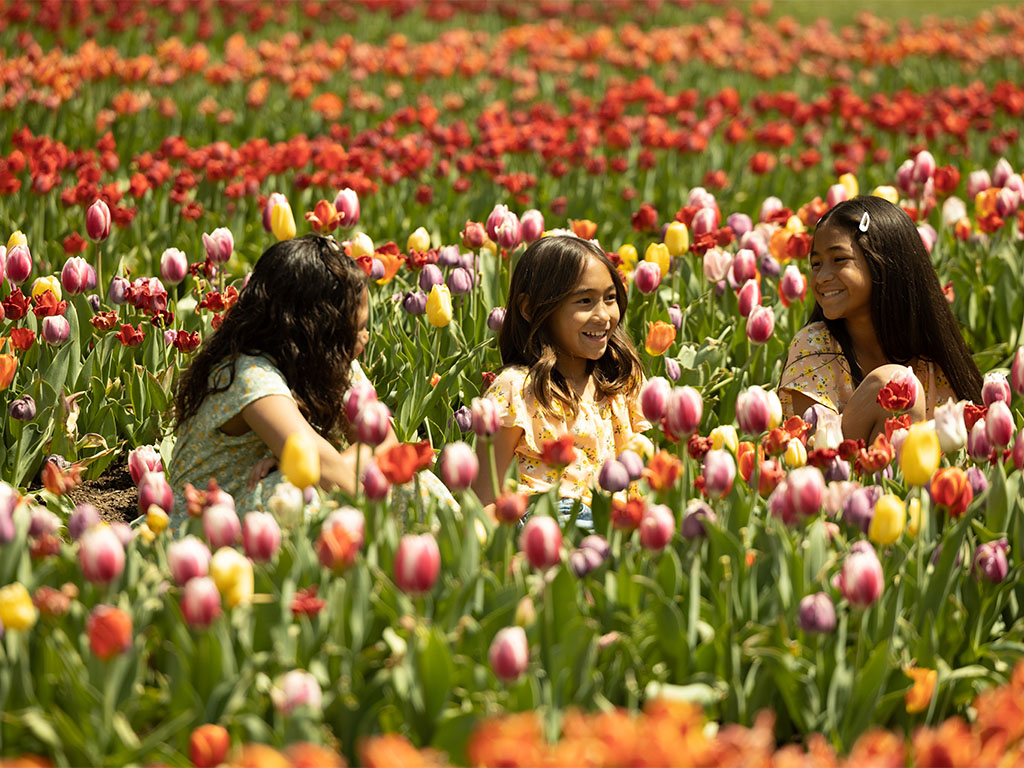 SittingWithTulips