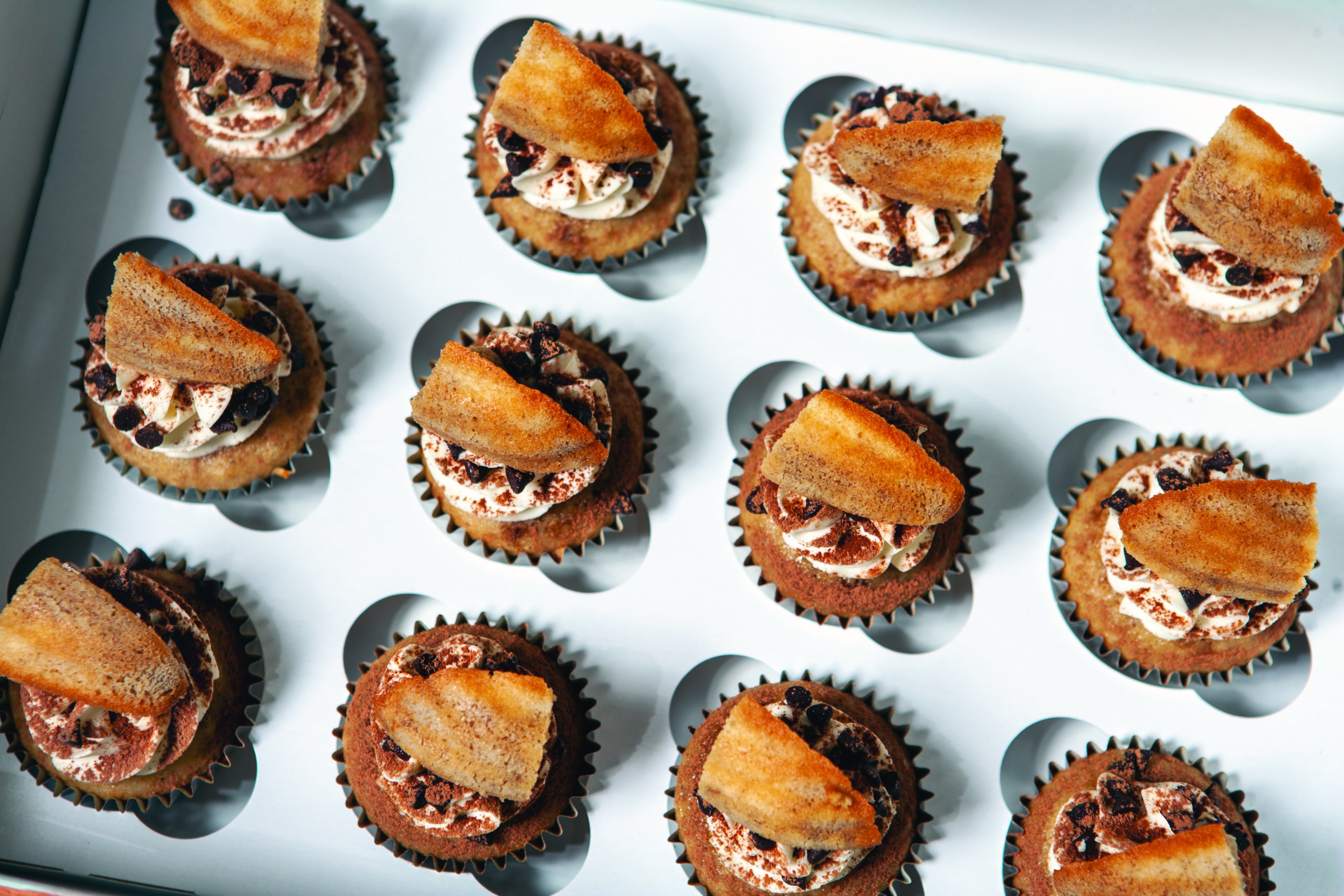 Sweet-Vinyl-Cupcakes-scaled