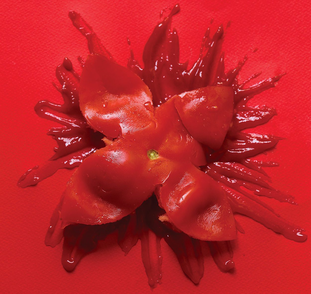 Tomato-smash_229911466-e1613765457512