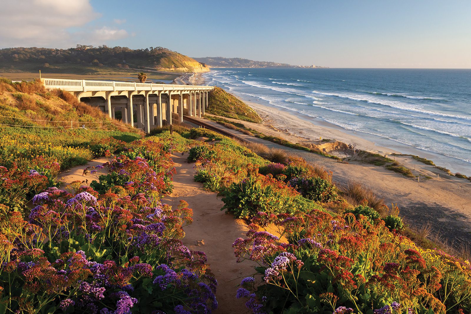 Torrey-Pines-State-Beach-San-Diego-65932213