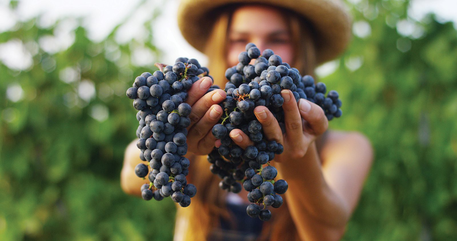 UtahWine1
