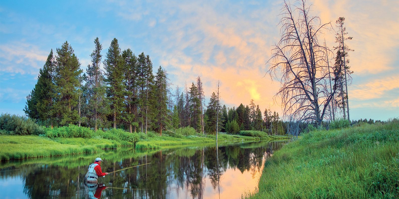 WEST-YELLOWSTONE