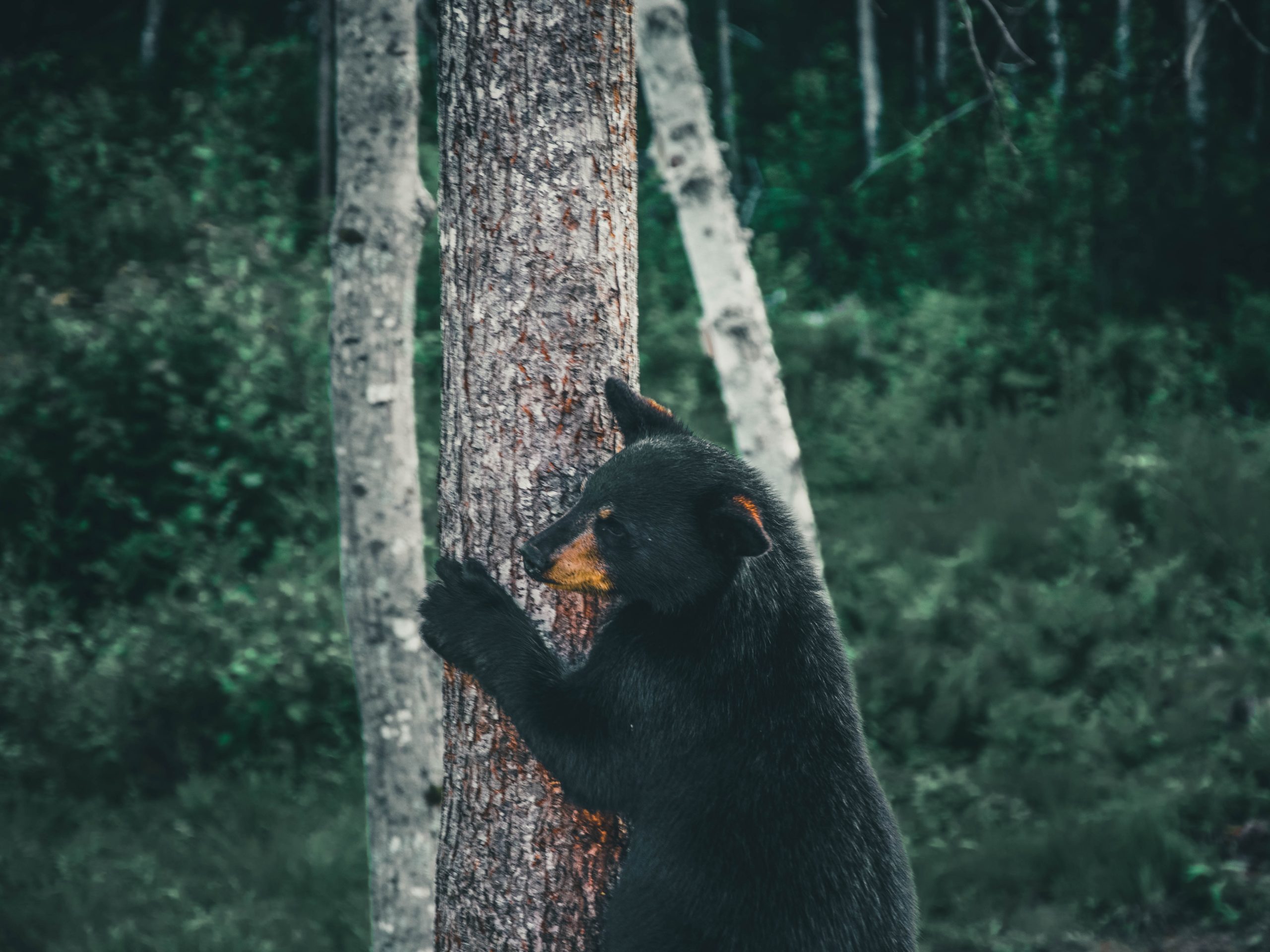 ali-kazal-Eu-unsplash-scaled
