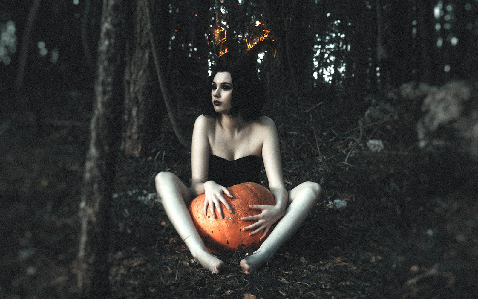 costume-forest-halloween-3050751