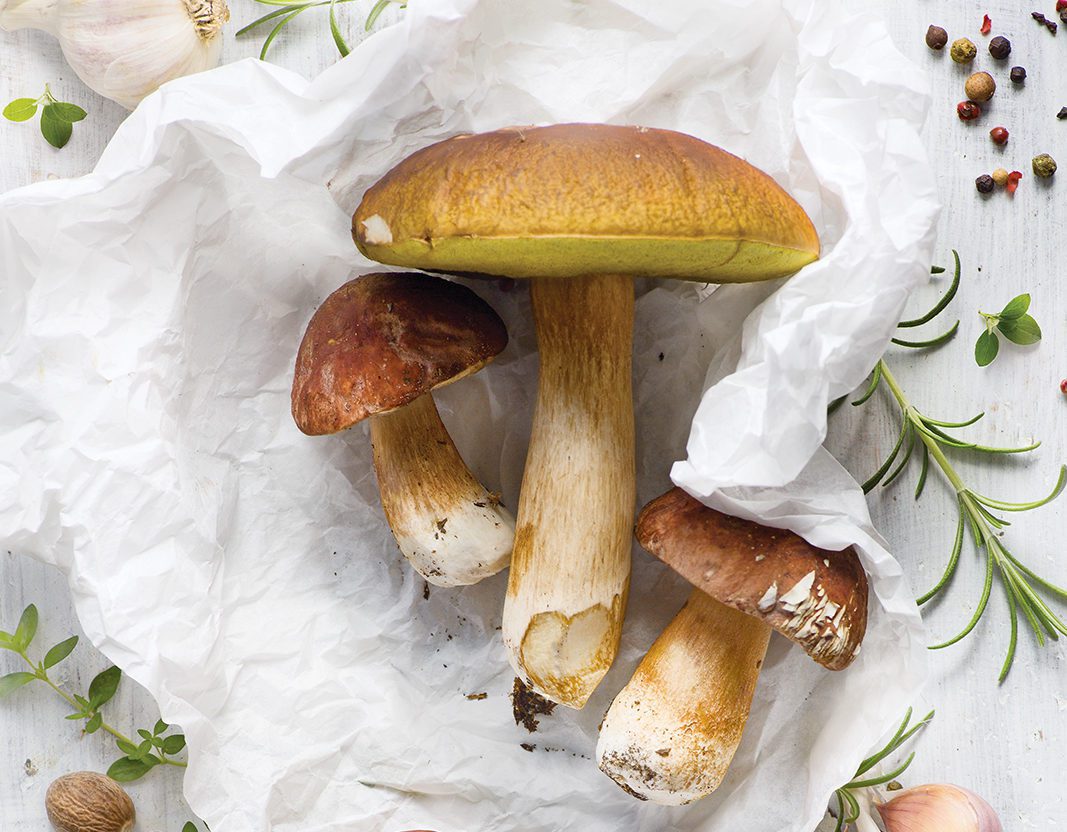 porcini-Mushroom_171649024-e1615590658800