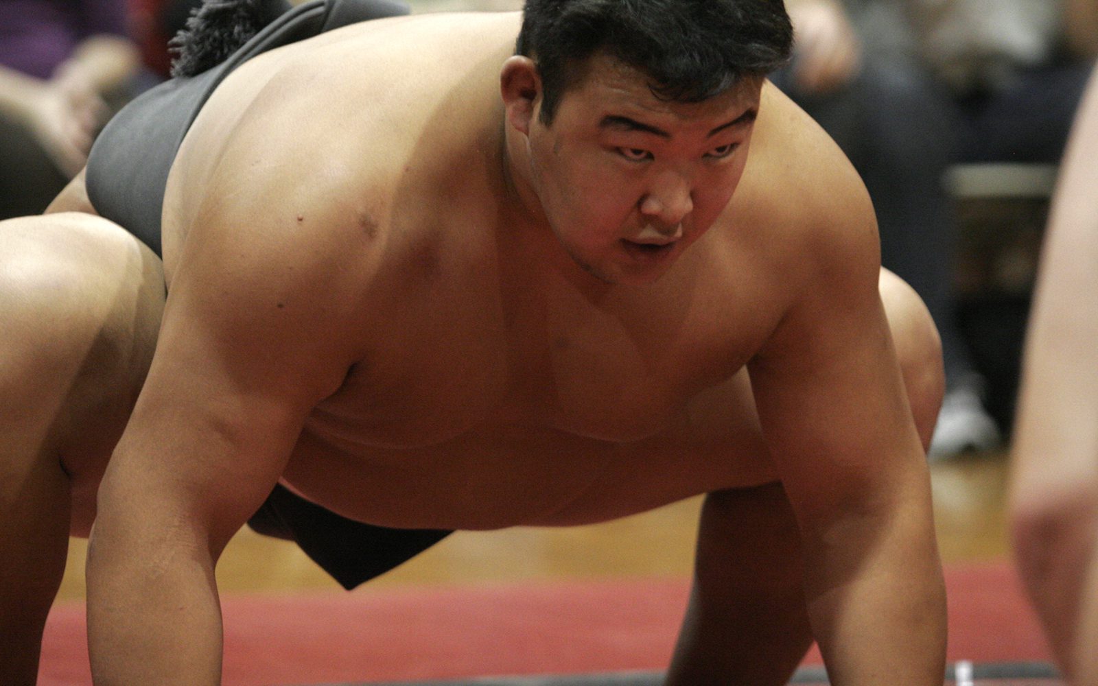 sumobig