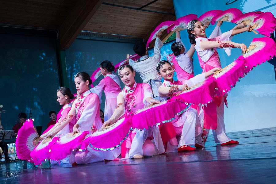 taiwan_pink_circle-joel_nava