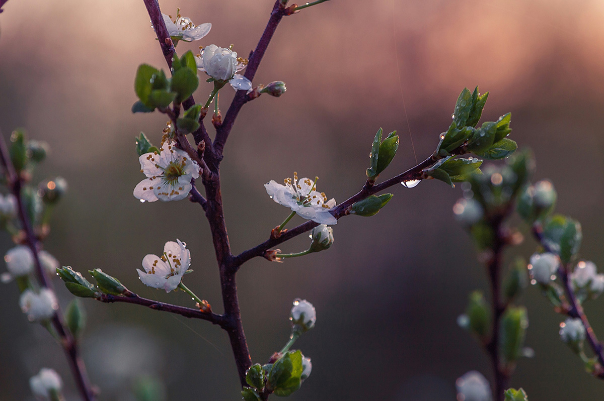 vitolda-klein-i26xFMcrA-s-unsplash