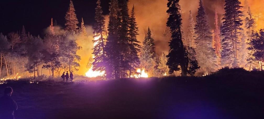 wildfire_utah_fire_info