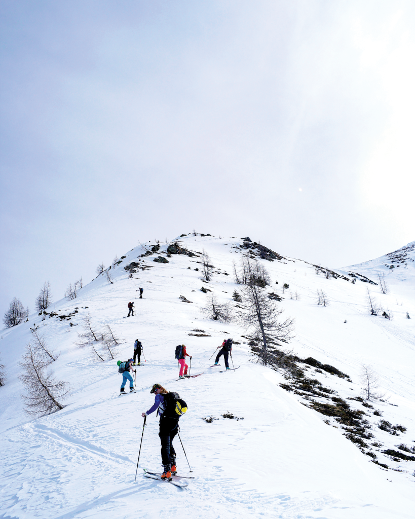 Uphill skiing, backcountry skiing, ski touring