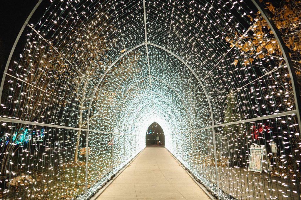 A display at the Tracy Aviary Lightwalk in Liberty Park. Photo by Austen Diamond.