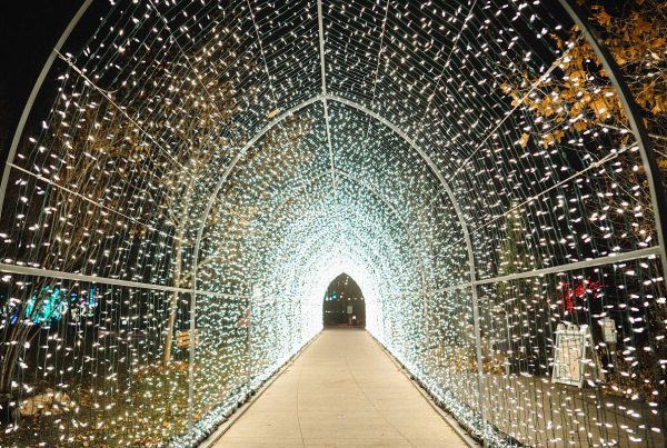 A display at the Tracy Aviary Lightwalk in Liberty Park. Photo by Austen Diamond.