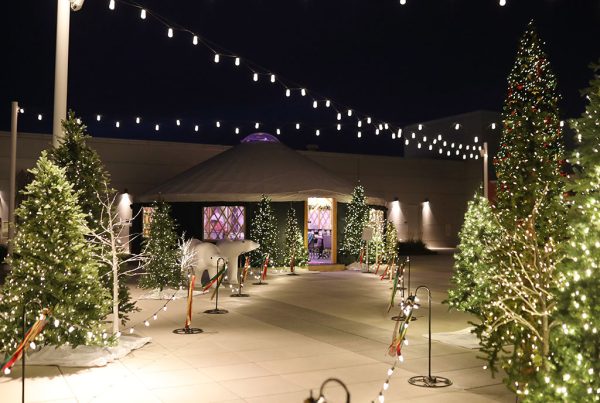 Salt Lake Yurt, yurt dinner, rooftop bar, Hyatt Regency