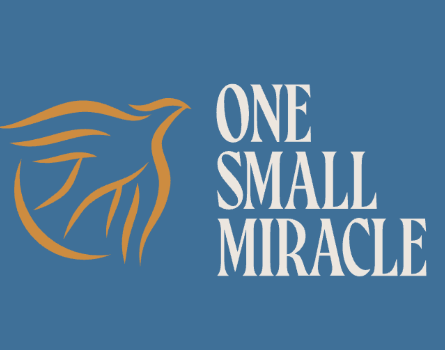 One Small Miracle Celebration!
