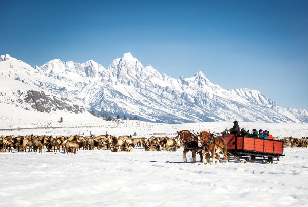 Jackson Hole Sleigh Ride, Jackson Hole Mountain Resort, Wyoming