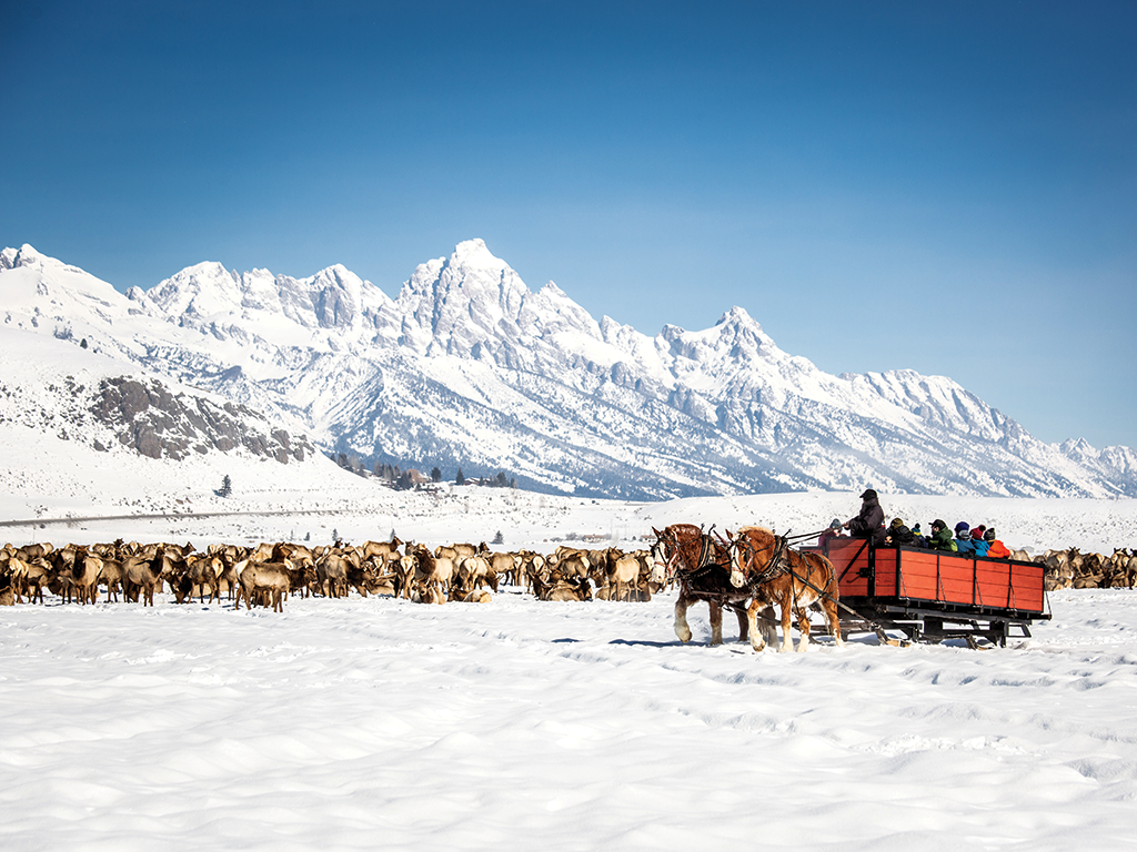 Jackson Hole Sleigh Ride, Jackson Hole Mountain Resort, Wyoming