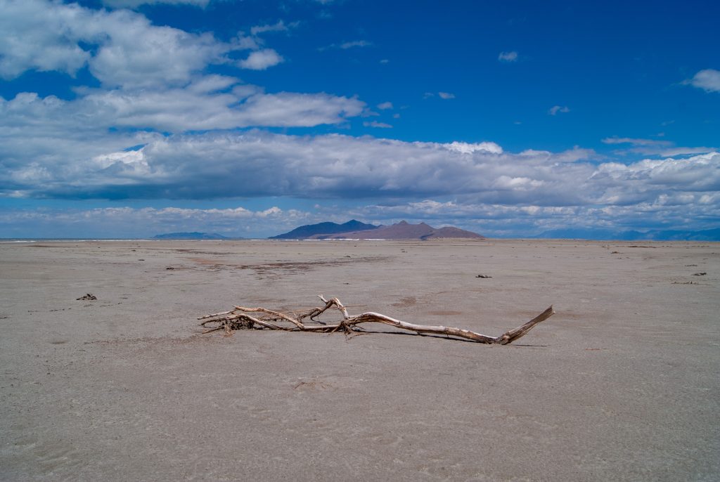Stick on the southern shore of Great Salt Lake, Utah 