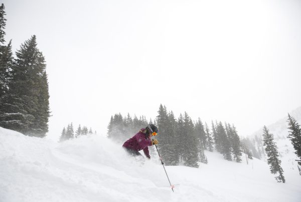 skier at alta