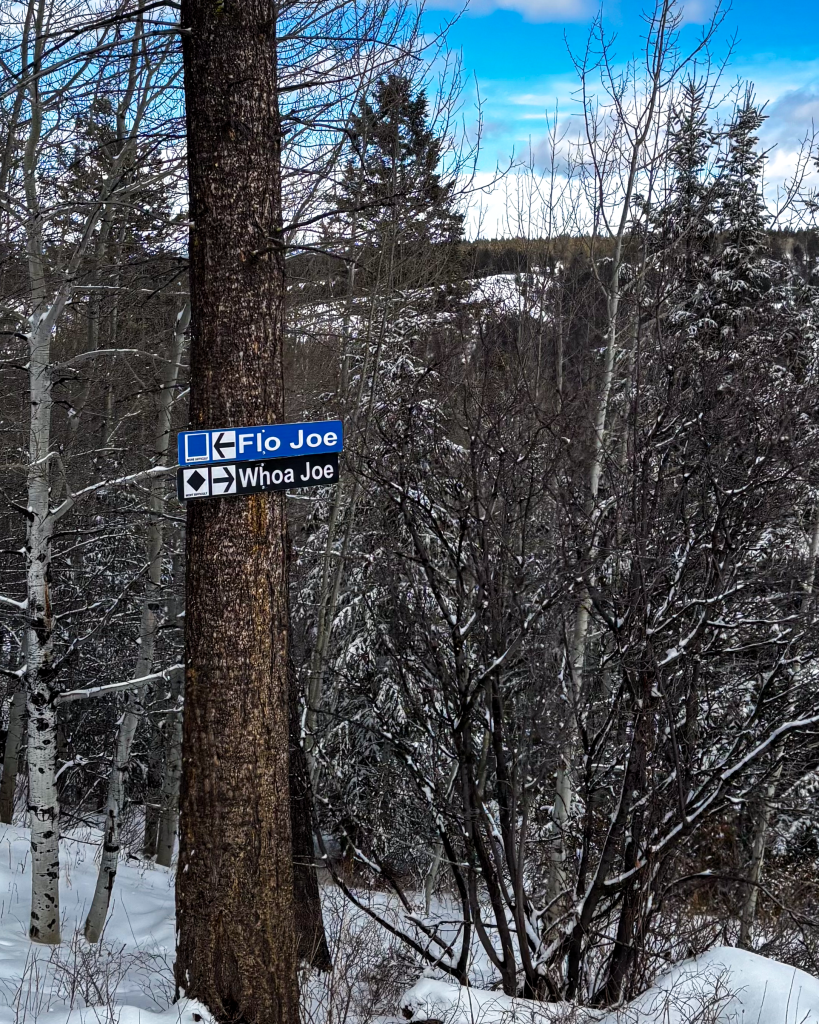 Kelly Canyon's Flo Joe and Whoa Joe trails fell like siblings, despite differing ratings.