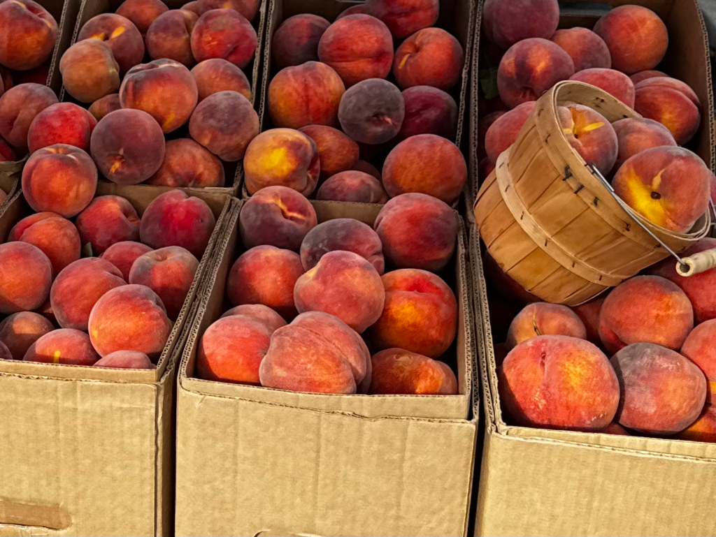 Peaches at the Wheeler Sunday Market