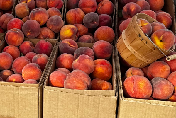 Peaches at the Wheeler Sunday Market