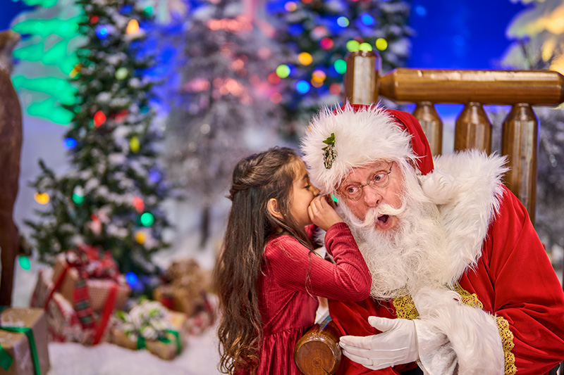 Santa Photos Utah